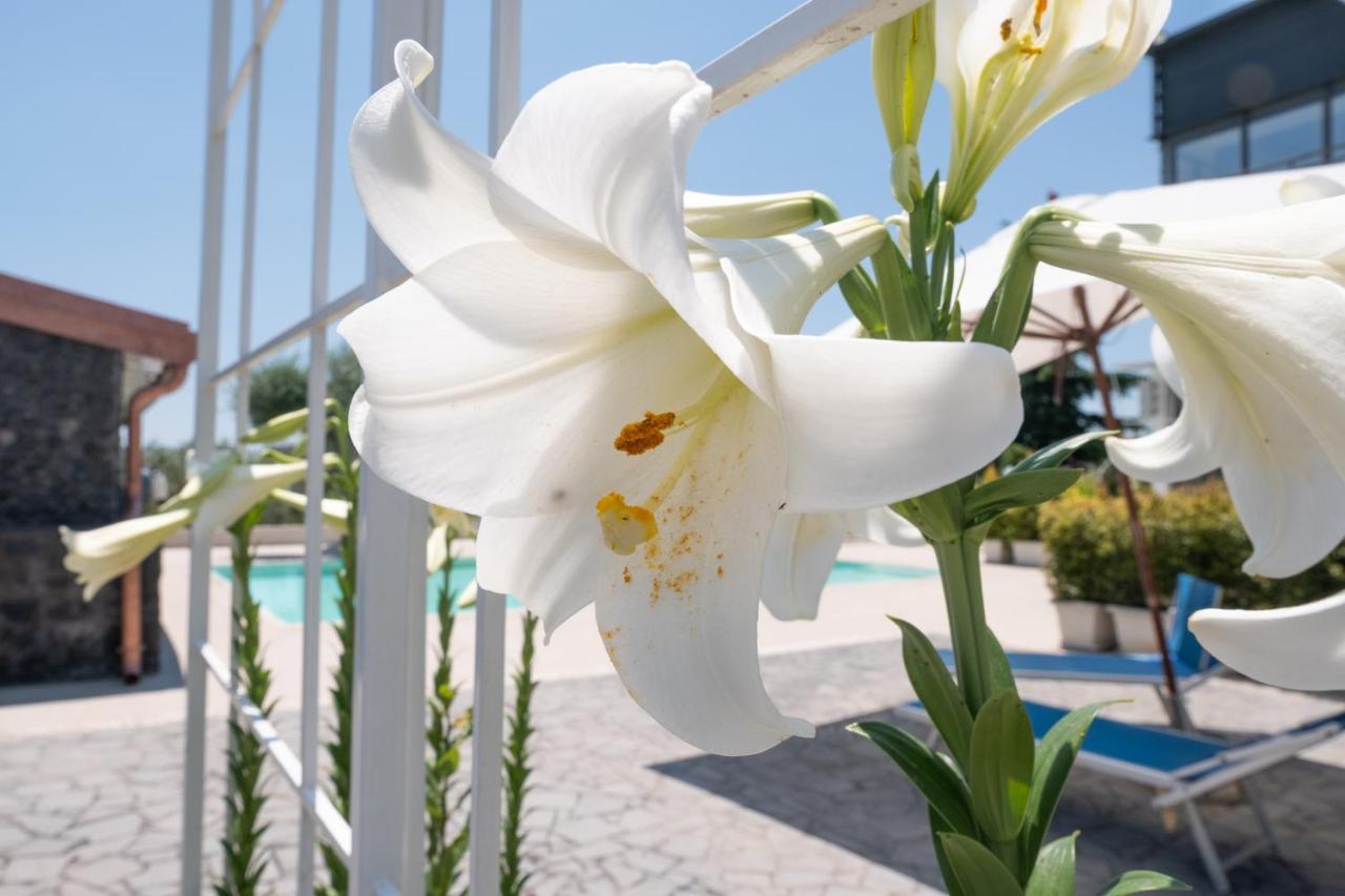 Lux Suite Sicily Маскалуча Экстерьер фото